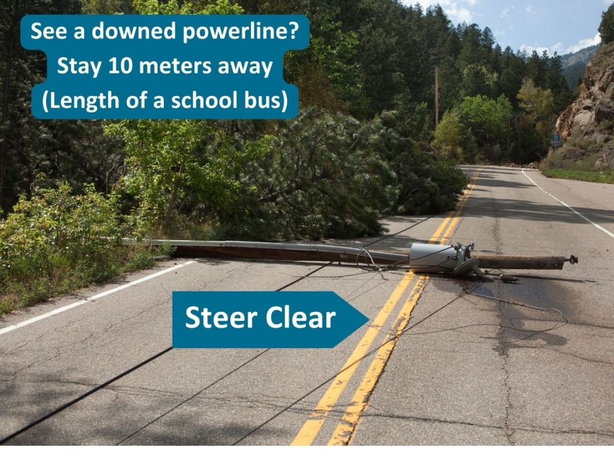 Stay Away 10 Metres From Downed Powerlines