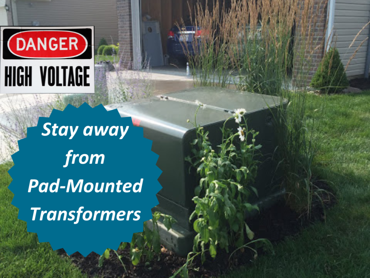 Stay Away from Pad-Mounted Transformers